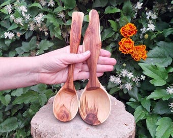 May include: Two handcrafted wooden spoons with natural wood grain patterns. The spoons are held against a backdrop of green foliage, orange and white flowers. The spoons are made of light and dark brown wood.