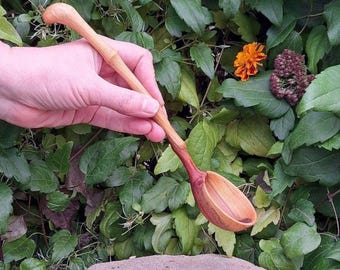 May include: Hand-carved wooden spoon with a natural finish. The spoon features a long, slender handle and a deep bowl. The handle is a light brown color, while the bowl has a reddish-brown hue. The spoon is held against a backdrop of green foliage.