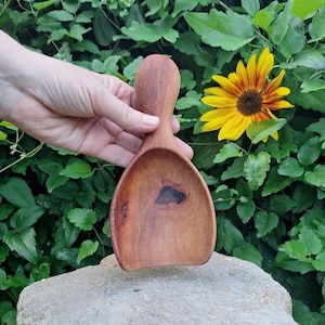Pear wood hand carved scoop for the kitchen 7.4”