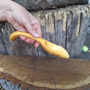 Cuillère en bois sculptée à la main Cuillère à grain/farine/sucre/riz Petite cuillère en bois pour cuisiner