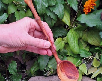 May include: Hand-carved wooden spoon with a long handle and a deep, rounded bowl. The spoon features a rich, reddish-brown color in the bowl and a lighter brown handle. The background includes green foliage and an orange flower.
