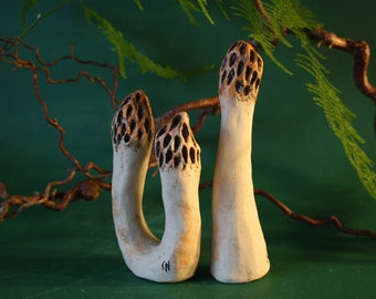 Ceramic morels Garden morels Garden ceramics