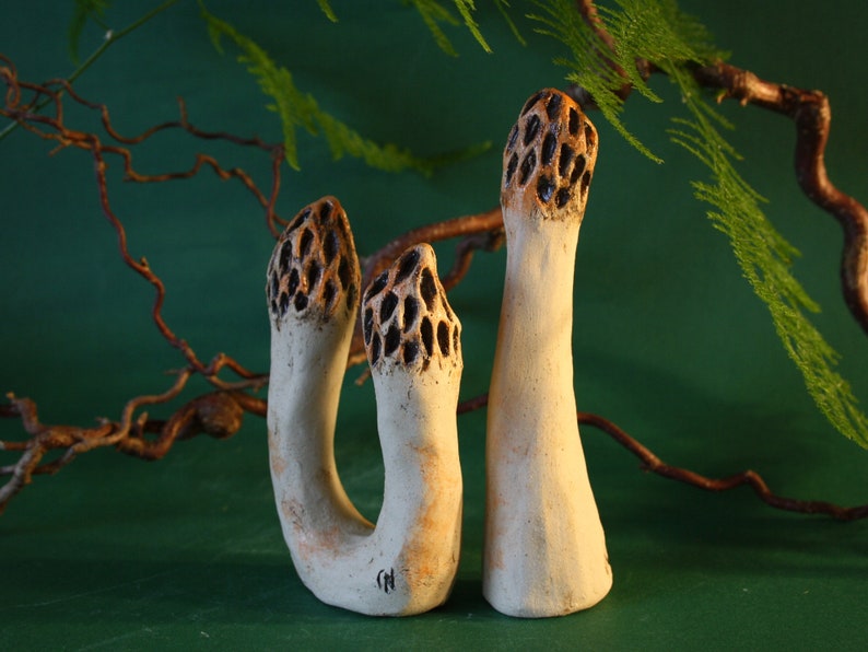 Morilles en céramique Morilles de jardin Céramique de jardin image 1