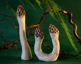 Ceramic morels Garden morels Garden ceramics