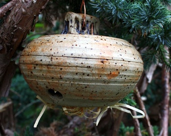 Insektenkugel Ohrwurmkugel unglasiert Naturton frostfeste Gartenkeramik zum Hinhängen