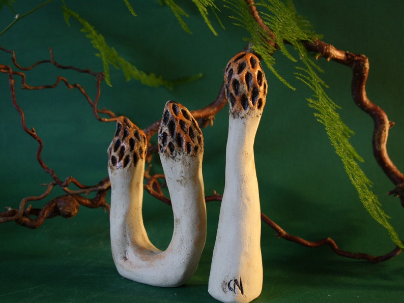 Morilles en céramique Morilles de jardin Céramique de jardin image 4