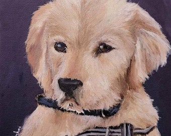 Custom pet portrait