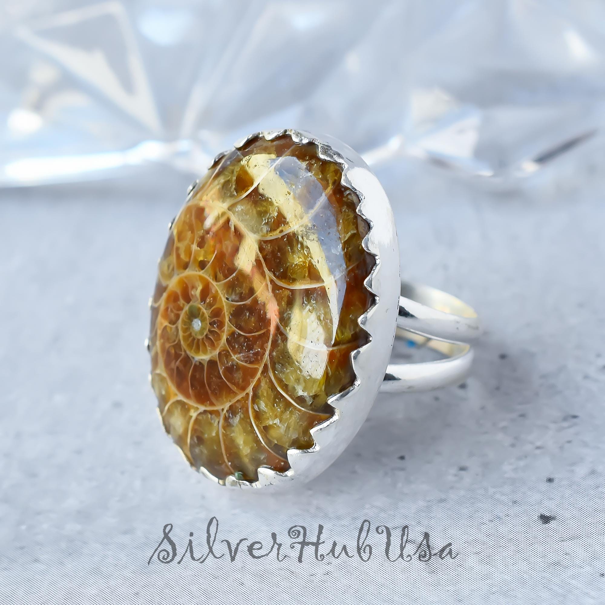 Fossile : Ammonite Cleoniceras Con Minuzioso Intaglio Di - Foto 2
