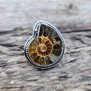 Natural Ammonite Fossil Ring: 925 Sterling Silver Gemstone Cabochon
