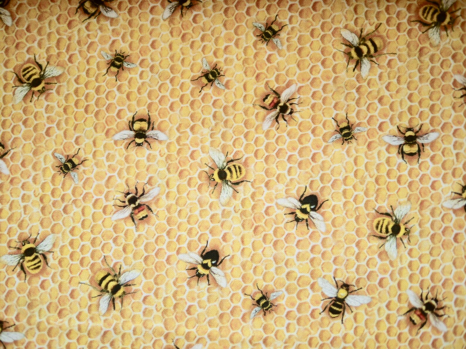 Robert Kaufman Patchwork Fabric Bee Bees Etsy