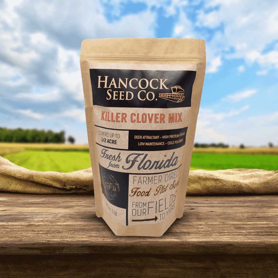 20 LBS WHITE LADINO CLOVER SEED FOR FOOD PLOT COATED AND INOCULATED FRESH SEED