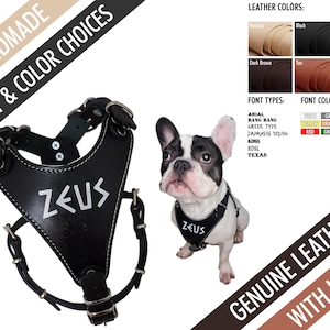 Basic Custom/Personalized Leather Dog Harness and Leash