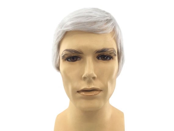 PRESIDENT Character DELUXE Halloween Costume Mens Wig by Funtasy Wigs Edward60
