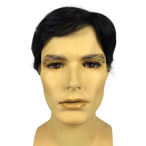 Men&#39;s Kooky Macabre Character Theatrical Halloween Costume Wig by Funtasy Wigs Alex 1
