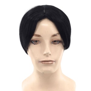1940&#39;s Character Theatrical Halloween Costume Wig by Funtasy Wigs - Dwight 1