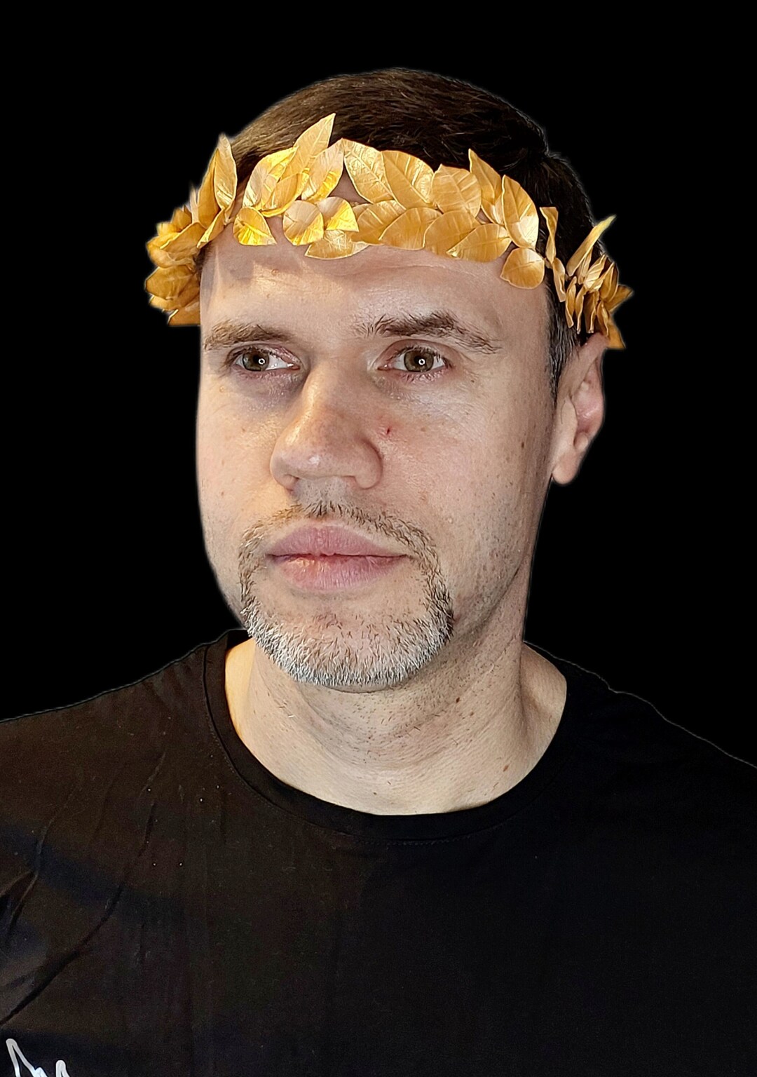 Gold Laurel Crown Men's Gold Leaf Crown Gold Leaf Crown Burning Man