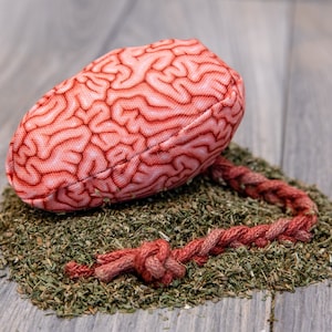 Brain Cat Toy | Catnip Stuffed with Jute Spinal Cord | Spooky & Realistic Horror Themed Cat Kicker | Halloween Cat Toy