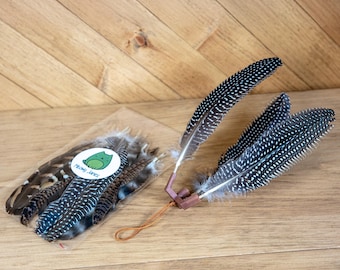 Refillable Feather Cat Teaser Attachment: Wand Toy with 24 Feathers | Attachment Only or With Wand