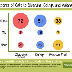 Ultra Blend Catnip, Valerian Root, and Silvervine Powder All Natural Catnip Small Batch Farm Grown New Harvest Cat Enrichment image 2