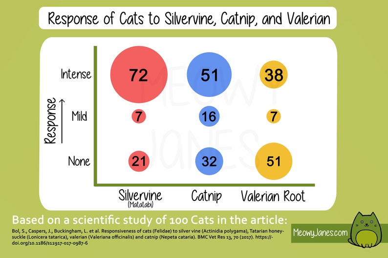 Ultra Blend Catnip, Valerian Root, and Silvervine Powder All Natural Catnip Small Batch Farm Grown New Harvest Cat Enrichment image 2