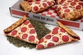 Refillable Catnip Toy Pizza Slice | Cat Toy | New York Style Pizza Kitty Kicker | NYC Pizza | Brooklyn Pizza | Food Cat Toy | Fake Play Food