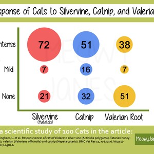 Catnip & Silvervine Blend All Natural Catnip Alternative Mix All Natural Silvervine Powder and Catnip Farm Grown Small Batch image 4