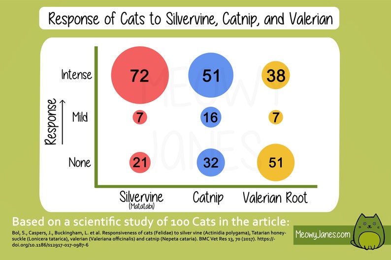 Catnip & Silvervine Blend All Natural Catnip Alternative Mix All Natural Silvervine Powder and Catnip Farm Grown Small Batch image 4