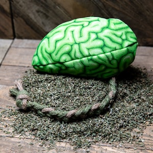 Zombie Brain on Catnip | Cat Toy - Realistic Green Brain | Stuffed with Super Potent Catnip | Jute Spinal Cord | Meowy Janes