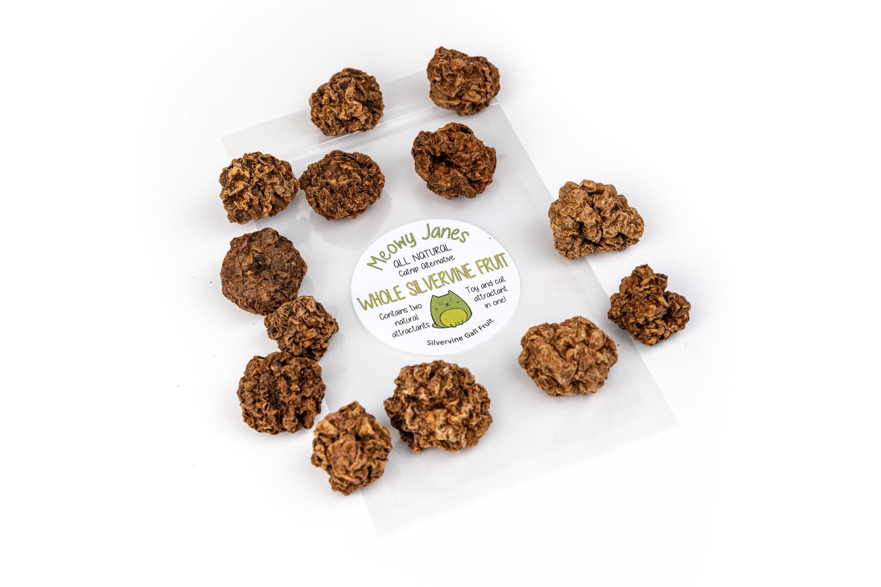 タマキニイメ　フワパジャ Whole Silvervine Fruit - All Natural Cat Toy | Dried Gall Fruit