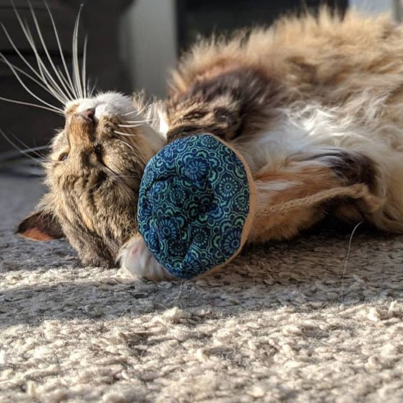 Magic Meowshrooms Mushroom Shaped Catnip Cat Toy Choose Etsy