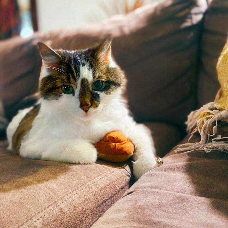 Magic Meowshrooms Mushroom Shaped Catnip Cat Toy Choose Etsy