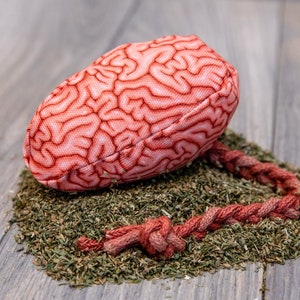 Your Brain on Catnip | Cat Toy - Realistic Brain | Stuffed with Super Potent Catnip | Jute Spinal Cord | Meowy Janes