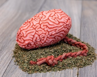 Your Brain on Catnip | Cat Toy - Realistic Brain | Stuffed with Super Potent Catnip | Jute Spinal Cord | Meowy Janes