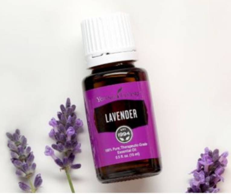 Young cheap living lavender