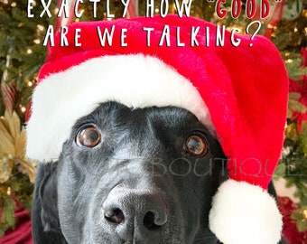 Funny Black Lab Christmas Cards, Labrador Retriever Holiday Cards, Dog card