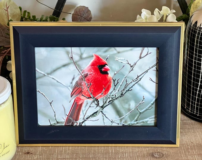 Framed Cardinal Art Print, Nature Wall Art, Bird Notecards