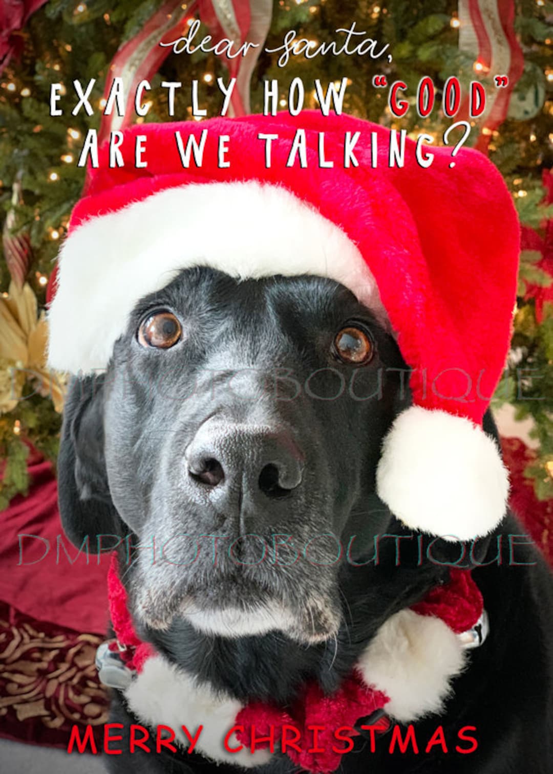 Black Lab Christmas Cards, Labrador Retriever Christmas Card, Funny Lab ...