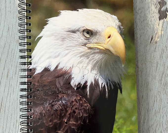 American Bald Eagle Notebook, American Eagle Notebook, Eagle Notebook, School Supply, Notebook, Nature Notebook, Bird Notebook, Eagle