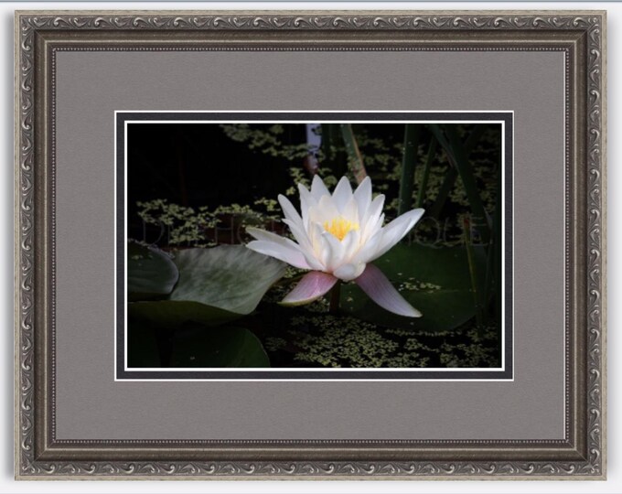 Lily Flower Art Print, Calm Spa Decor, Yoga Artwork