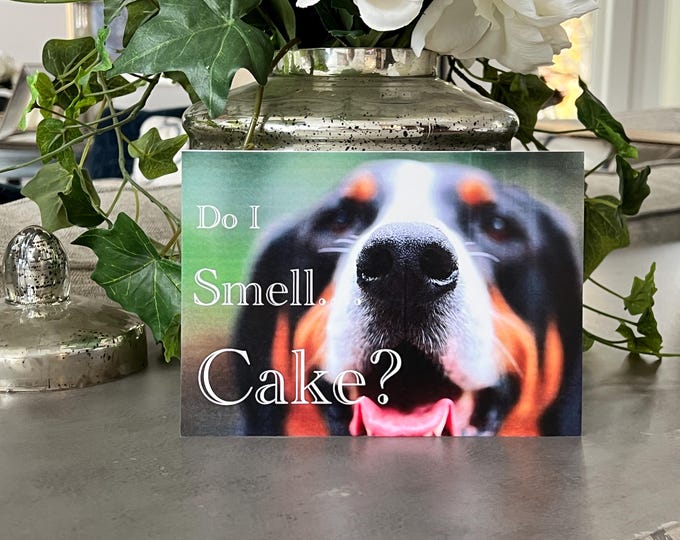 Do I Smell Cake Birthday Card, Birthday Card with Dog, Greater Swiss Mountain Dog Birthday Card, Dog Birthday Card, Dog Gift, Dog Card