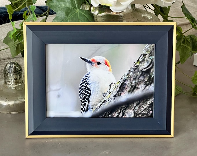 Red Bellied Woodpecker Print, Woodpecker Print, Woodpecker Art, Woodpecker Photography, Woodpecker photo, Bird Print, Birdlover, Bird Art