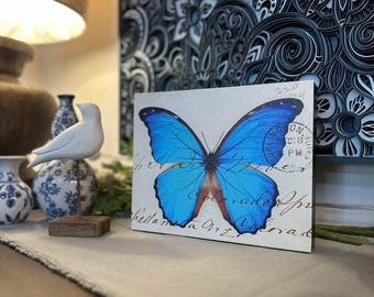 Vintage Peruvian Morpho Butterfly Canvas Print, Butterfly Wall Art, Nature Decor