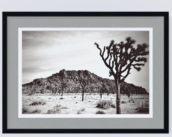 Joshua Tree National Park Print, Black and White Landscape