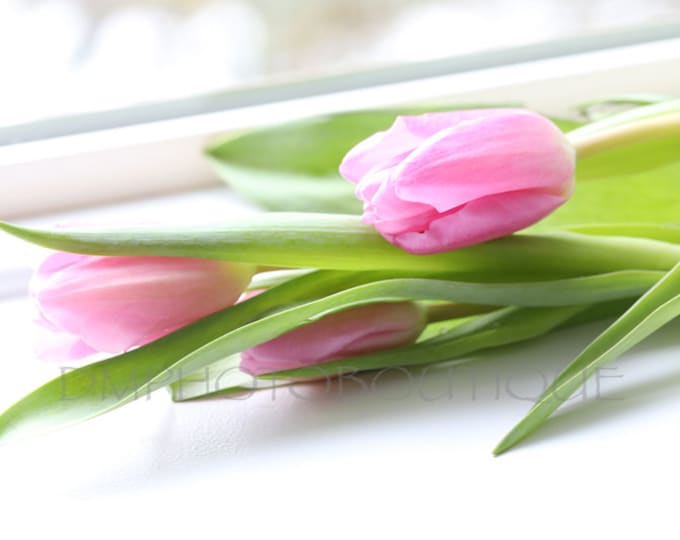 Tulip Notecards, Tulip Greeting Card, Tulip Cards, Flower Card, Flower Notecard, Floral Notecard, Floral Greeting Card, Easter Card, Flower