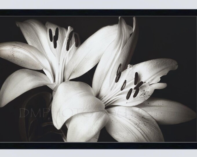 Lily Notecards, Lily Print, Lily Canvas, Lily Art, Lily Artwork, Floral Notecards, Floral Print, Floral Art Print, Floral Canvas, Flower Art