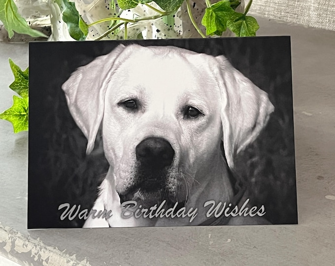 Labrador Birthday Card, Black and White Dog Photo