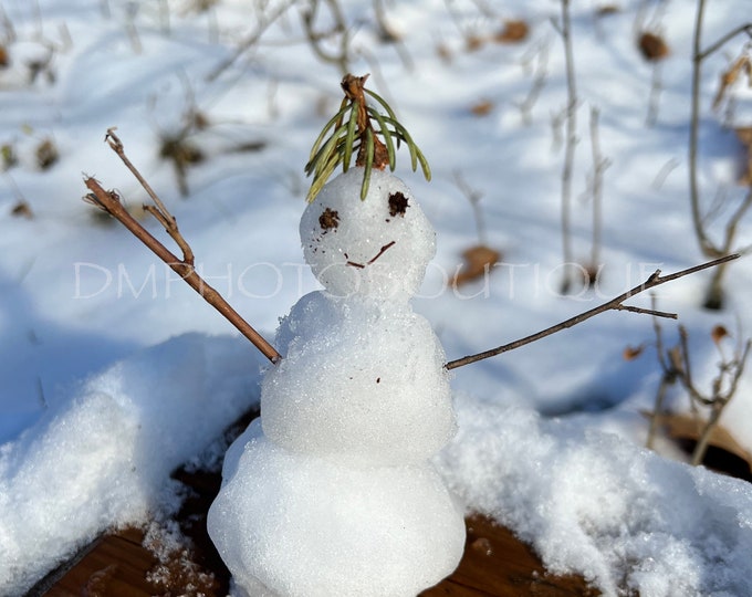 Winter Notecards, Nature Notecards, Fun Notecards, Snowman Notecards, Snowman Photo, Nature Cards, Cute Notecards, Cute Cards, Snow Cards