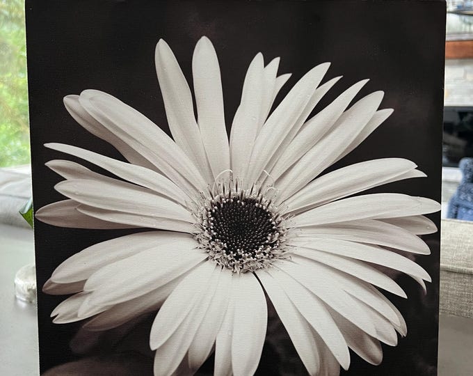 Black and White Daisy Greeting Card, Daisy Notecard, Daisy Card, Floral Card, Flower Card, Flower Blank Card, Floral Notecard, Stationary