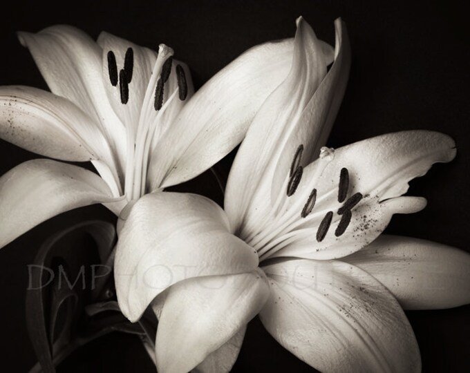 Lily Notecards, Lily Print, Lily Canvas, Lily Art, Lily Artwork, Floral Notecards, Floral Print, Floral Art Print, Floral Canvas, Flower Art