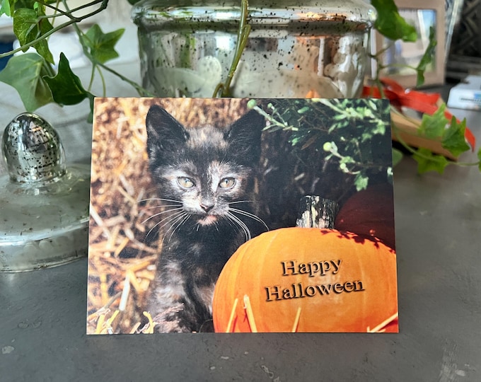 Halloween Notecards, Halloween Cards, Halloween Greeting Cards, Cat, Cat Notecards, Cute Cat, Fall Cat, Fall, Fall Notecards, Kitten